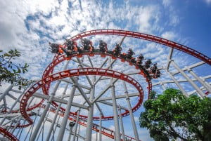 Amusement park injuries Florida lawsuit