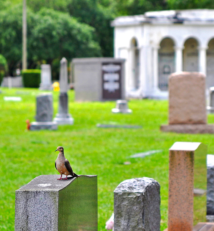 wrongful death